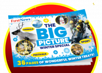 The Big Picture Winter Special cover image