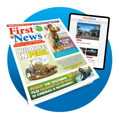 FirstNews-circle-group-1-25Q1