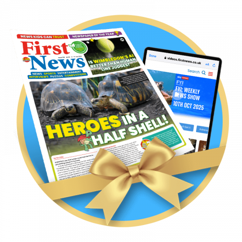 Circle-Group-xmas25-02